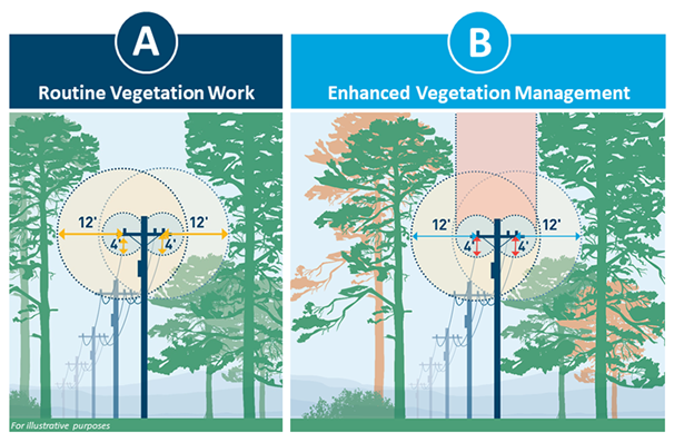 image showing additional clearances above power lines for the enhanced vegetation management program versus the routine maintenance clearing